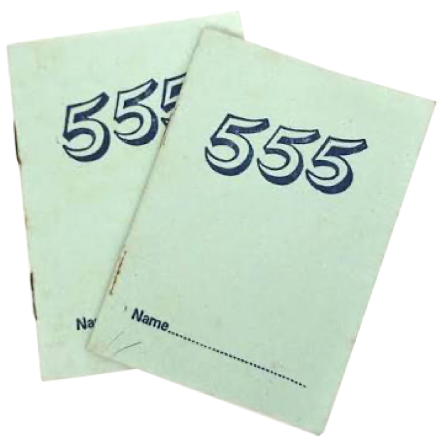 Two pastel green 'Buku 555' pocket notebooks