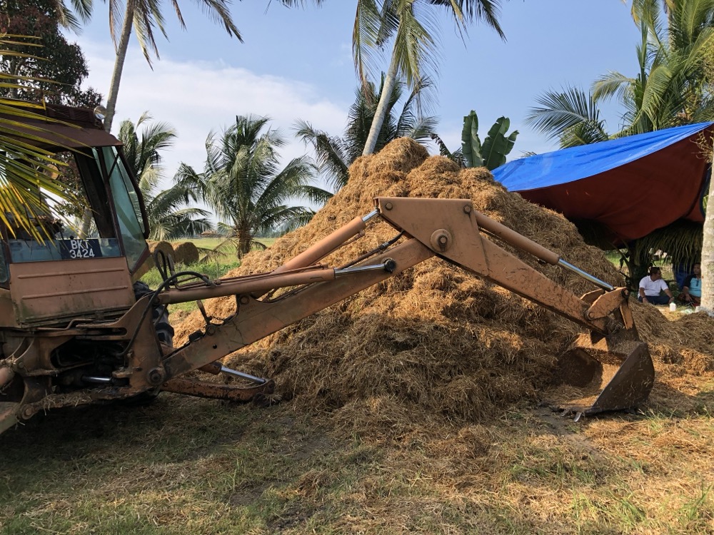 Making compost from rice straw